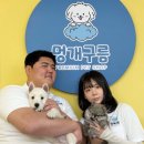 멍개구름 네이버블로그