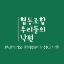 세움협동조합 이미지