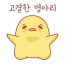 세라피코 이미지
