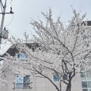 카페오(CAFE O) 이미지