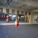 천안 스타복싱짐 이미지