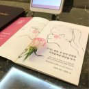 바로연 | 재혼 사이트 실패를 넘어선 인연 찾기