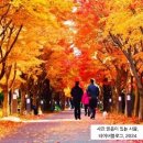가을 - 성북구 | 가을
