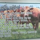 인순이소머리국밥 이미지
