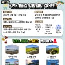 발밤발밤