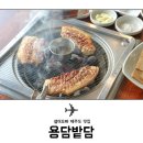 용담밭담 이미지