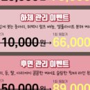 바디벨르 이미지