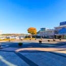 별자리 조형물(12 이미지