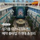 유주라이크 | 싱가폴 디즈니 크루즈 가격 예약후기 룸타입 싱가포르 디즈니어드벤처 올인클루시브
