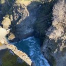 엘와이지 이미지