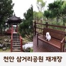 시민자동차써비스 | 천안 삼거리공원 4년 만의 재개장! 강아지와 산책 후기