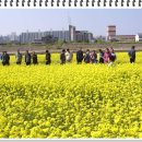 성덕동-4 이미지