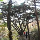 서산갯마을식당 이미지