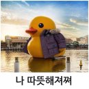 이찌방챠부 | [구로맛집 이찌방챠부]참치하면 여기 오도로하면 여기 참치맛집 이찌방챠부 솔직 리얼 후기