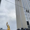 옥적축산 | 211026 토체티 BW 저소음적축 웜톤베이지