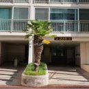 남구-113 이미지