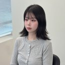 붙임머리