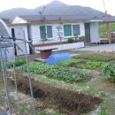 한적농장 이미지