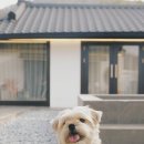 스테이더담 무안점 이미지