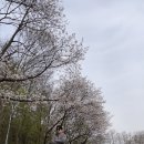 코봉이커피 이미지