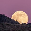 소암미술관 이미지