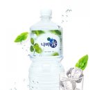 나비,날아오르다 이미지