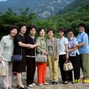 밀양동강중학교 이미지