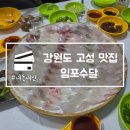 임포횟집 | 강원도 고성 맛집 임포수달 가진항 회센터 횟집 애견동반 내돈내산
