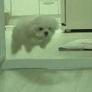 공감 Daum카페