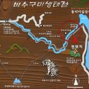 동촌2리 Daum카페