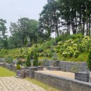 서창캠핑장 이미지