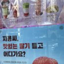 더벤티강남 | 선릉역 더벤티 베이글 & 딸기요거트 후기 – 집에서도 겉바속촉 브런치 완성 🥯✨
