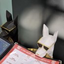 도그와트 이미지