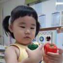 하비함미 이미지