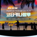 체인스토아 이미지