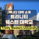트리니티 Daum카페