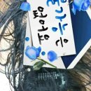 태풍헤어샵 이미지