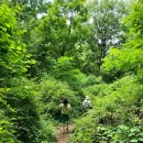 유한회사대국 | (둘레길 사진 후기 - 21) 천왕산 둘레길, 항동철도길, 푸른수목원, 구로올레(Olle)길