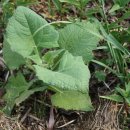 성공농장 이미지