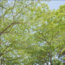 주식회사무브먼트