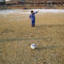 솔개초등학교 이미지