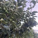 상평까페 이미지