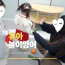 수지쌤영어교실 | 광교 수지 유아영어 리틀링고 놀이영어 내돈내산 5개월차