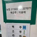 인천 배낚시 인천유선 반가워호 초보도 가능한 광어낚시 후기