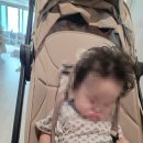 에누리마트 | 부가부 버터플라이2 부가부 베이비 페어 구매 후기