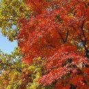 남한산성역사문화관 이미지