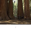 자연-문명-인간 이미지