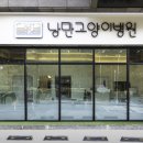 낭만고양이병원 이미지