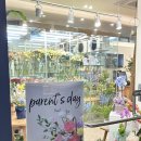 푸실(Pusil) 용인 죽전 수지 꽃집 / 내돈내산 후기 / 어버이날, 스승의 날 꽃다발