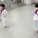 마루한멋태권도 이미지